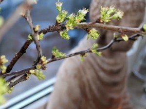 Entspannt – durch nicht mehr denken?