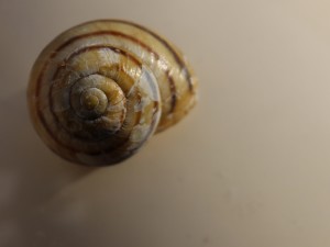 Ein Hoch auf die Ineffektivität – das Ineffektivitätsmanifest