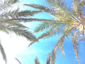 Keep calm – wie du gelassen bleiben kannst