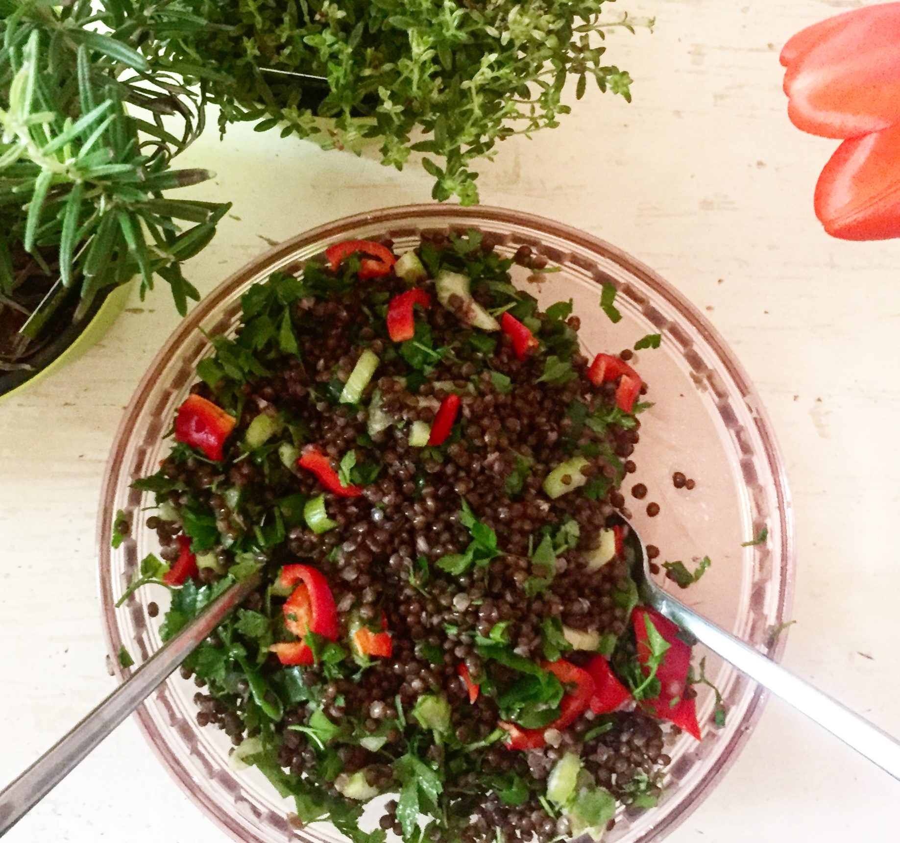 Frischer Linsensalat Mit Satten 45G Protein Reference: Frischer Linsensalat Eiweißreich Und Super Gesund