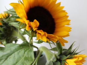 To Do Liste September – bereit für den Spätsommer