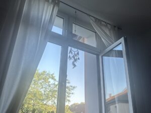 Die Welt mit anderen Augen sehen